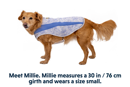 Swamp Cooler™ Cooling Pet Vest