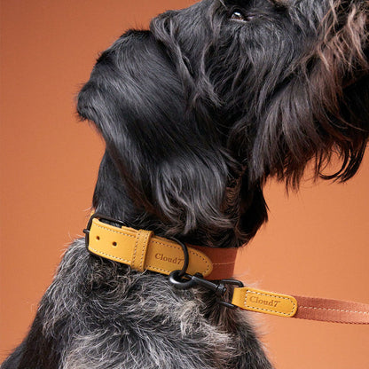 Pet Leash Madeira