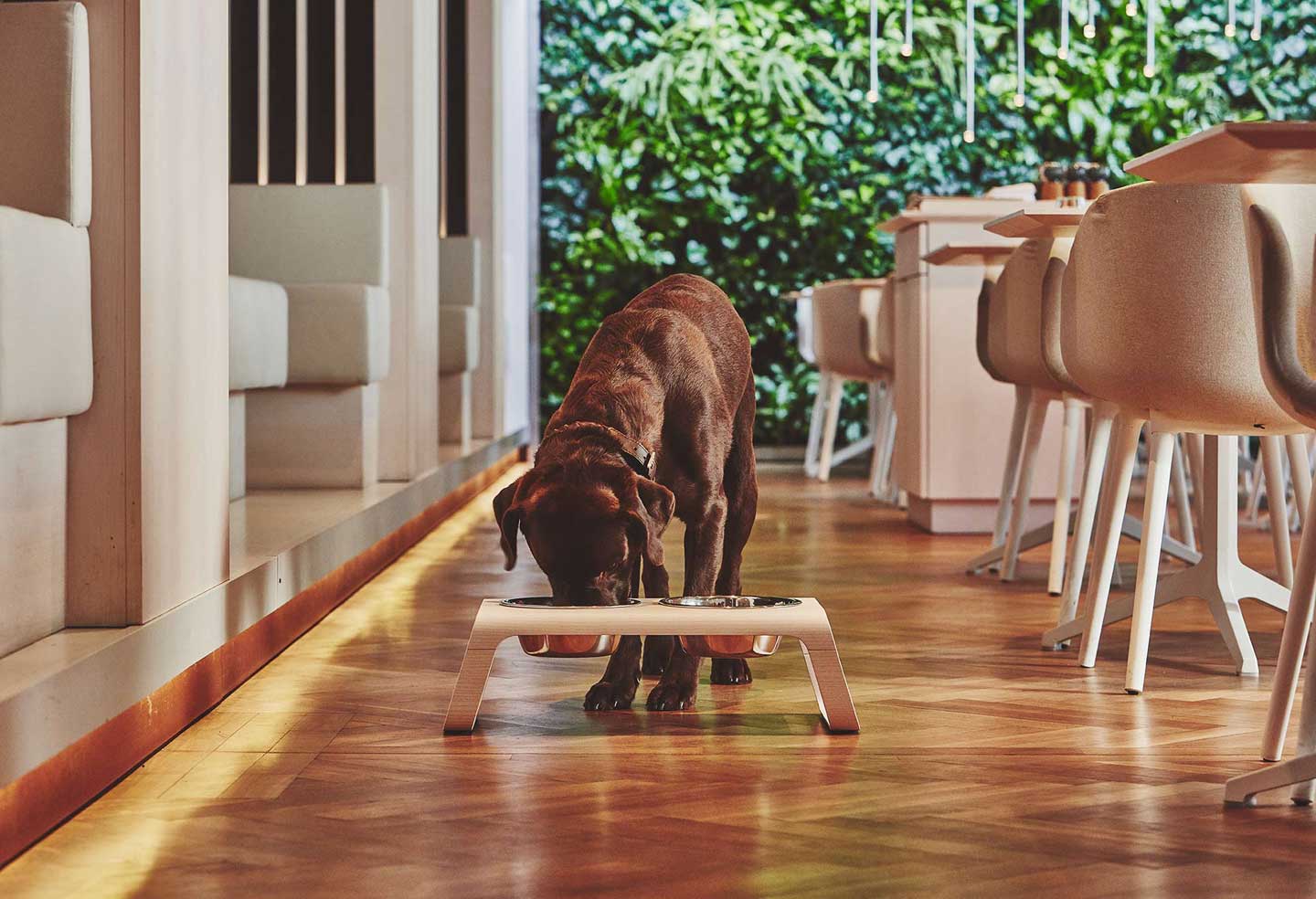Desco Dog Feeder (wooden)