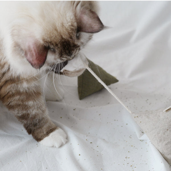 Cat Toy Cuppa Tea