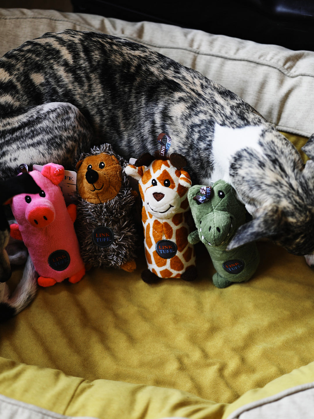 Animal Babies Bottle Toy