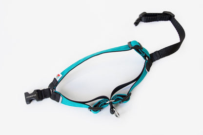 Linden No Pull Harness
