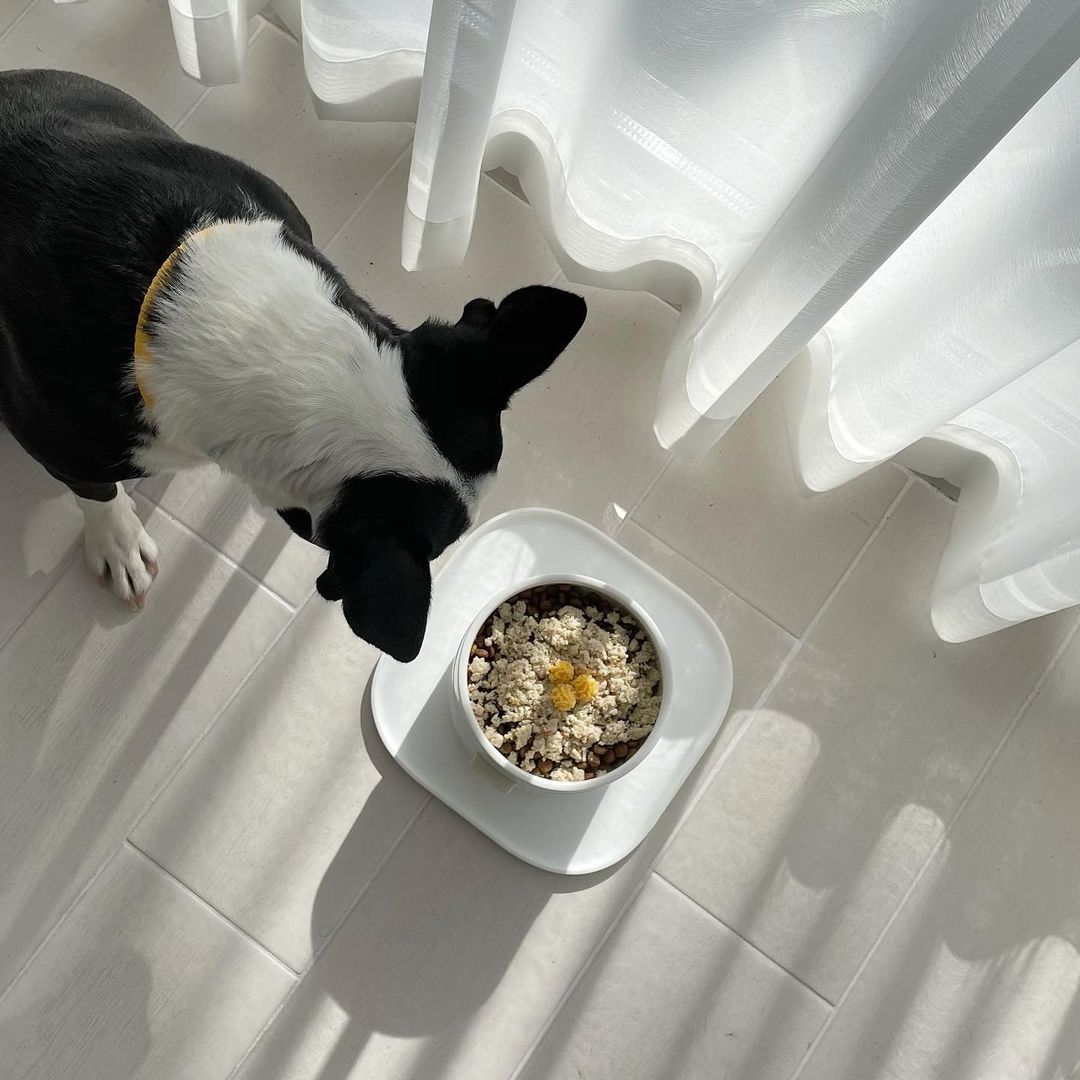 Pudding Bowl