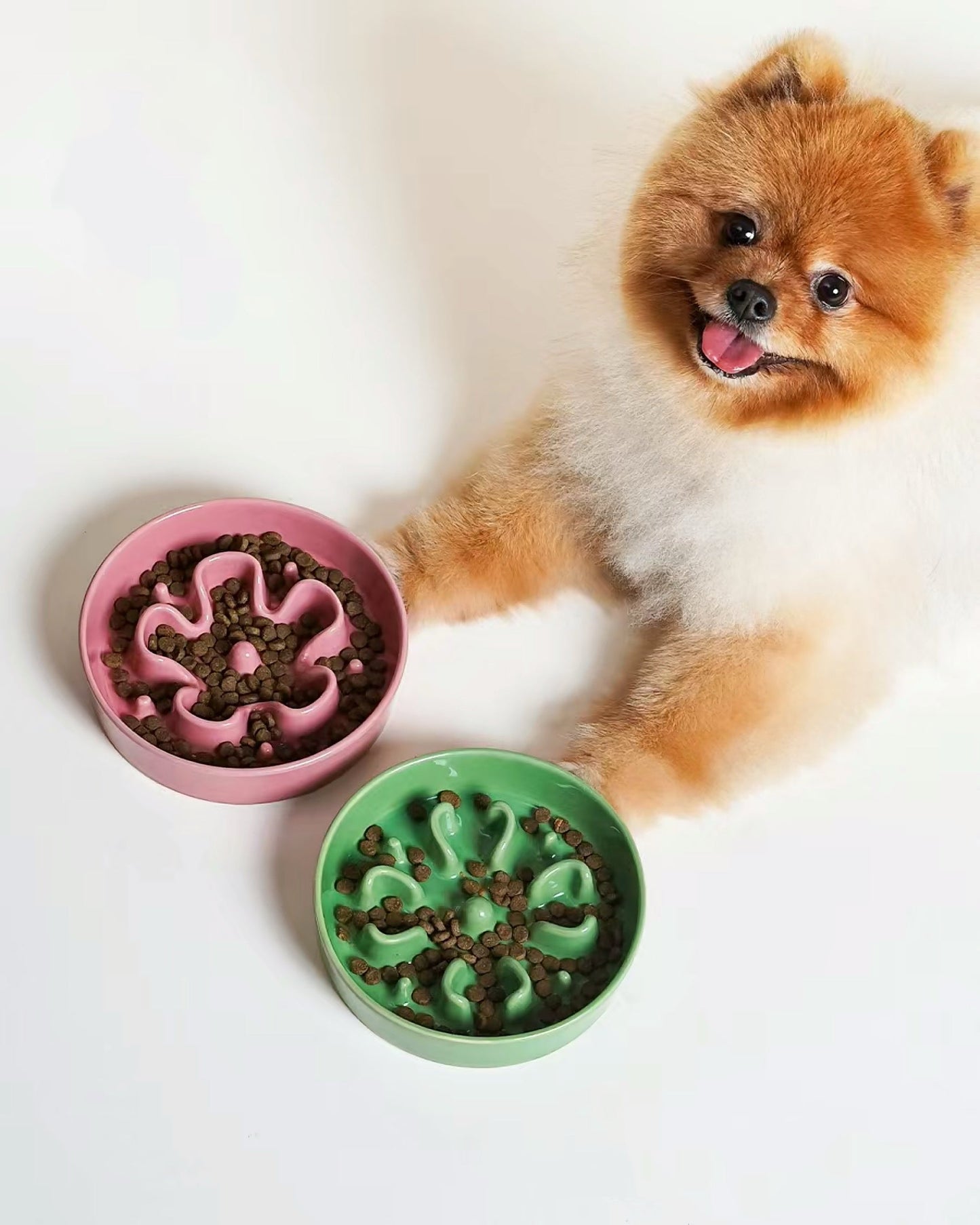 Ceramic Slow Feeder - Green Clover
