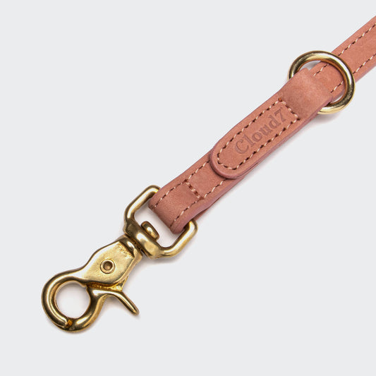 Dog Leash Tiergarten - New