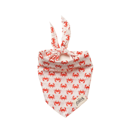 Bandanas - Snappy