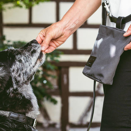 Lupo Snack Bag