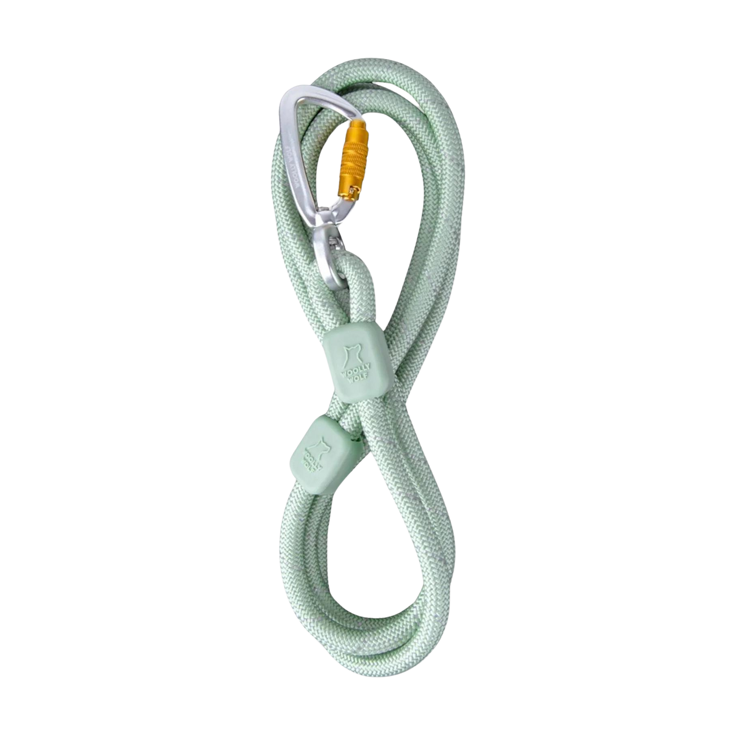 Rope Leash - Glacier Green