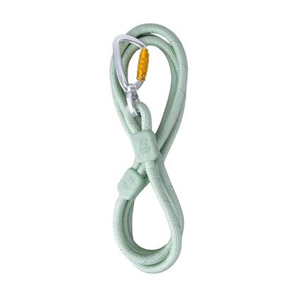 Rope Leash - Glacier Green