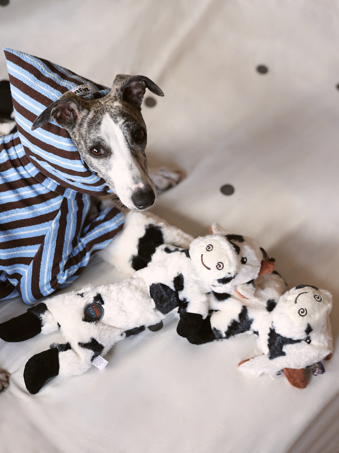 Farm Animal Long Toys