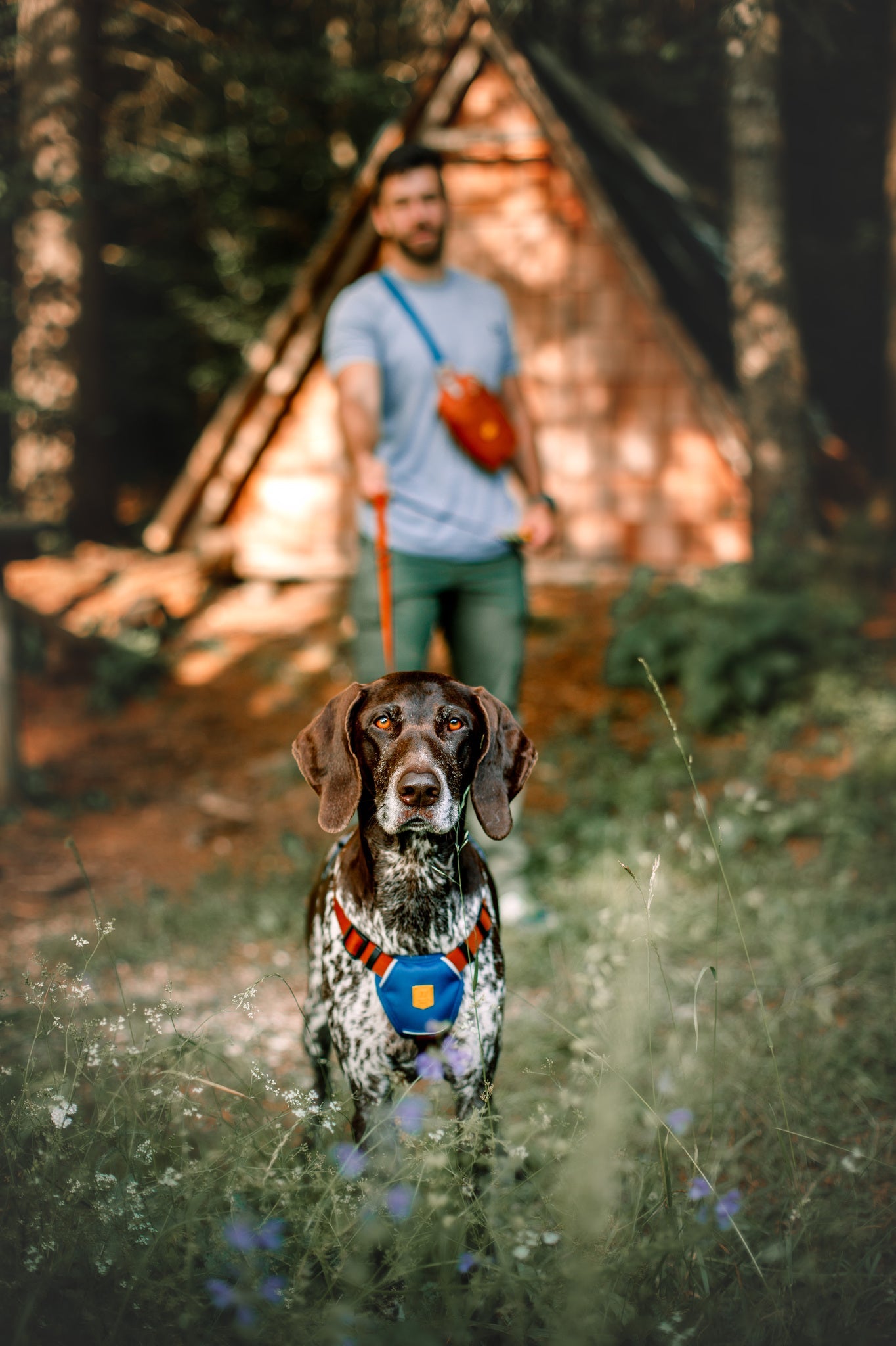 Color Block Harness