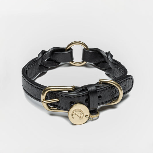 Dog Collar Hyde Park