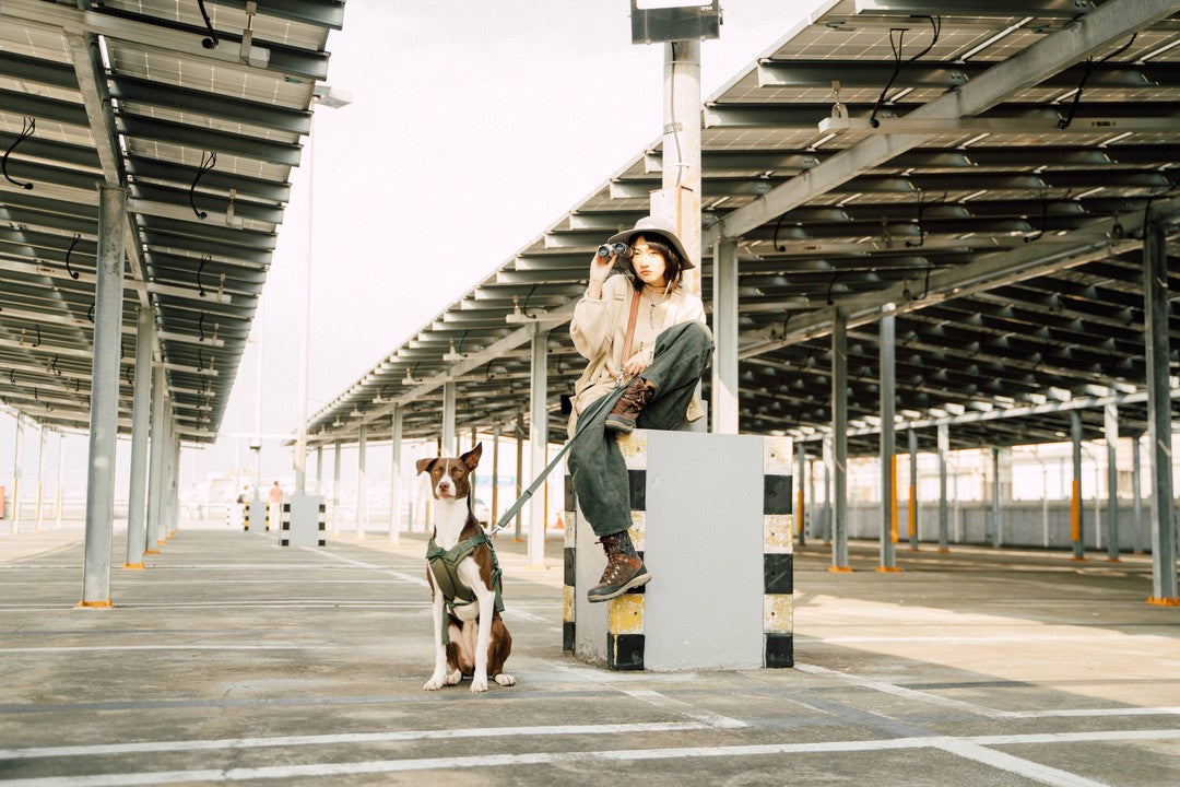 Explore - Leash