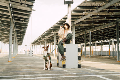 Explore - Leash