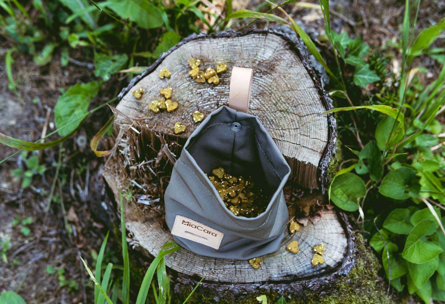 Lupo Snack Bag