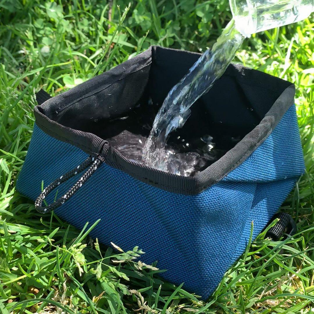 Montara Pop-Up Dog Bowl