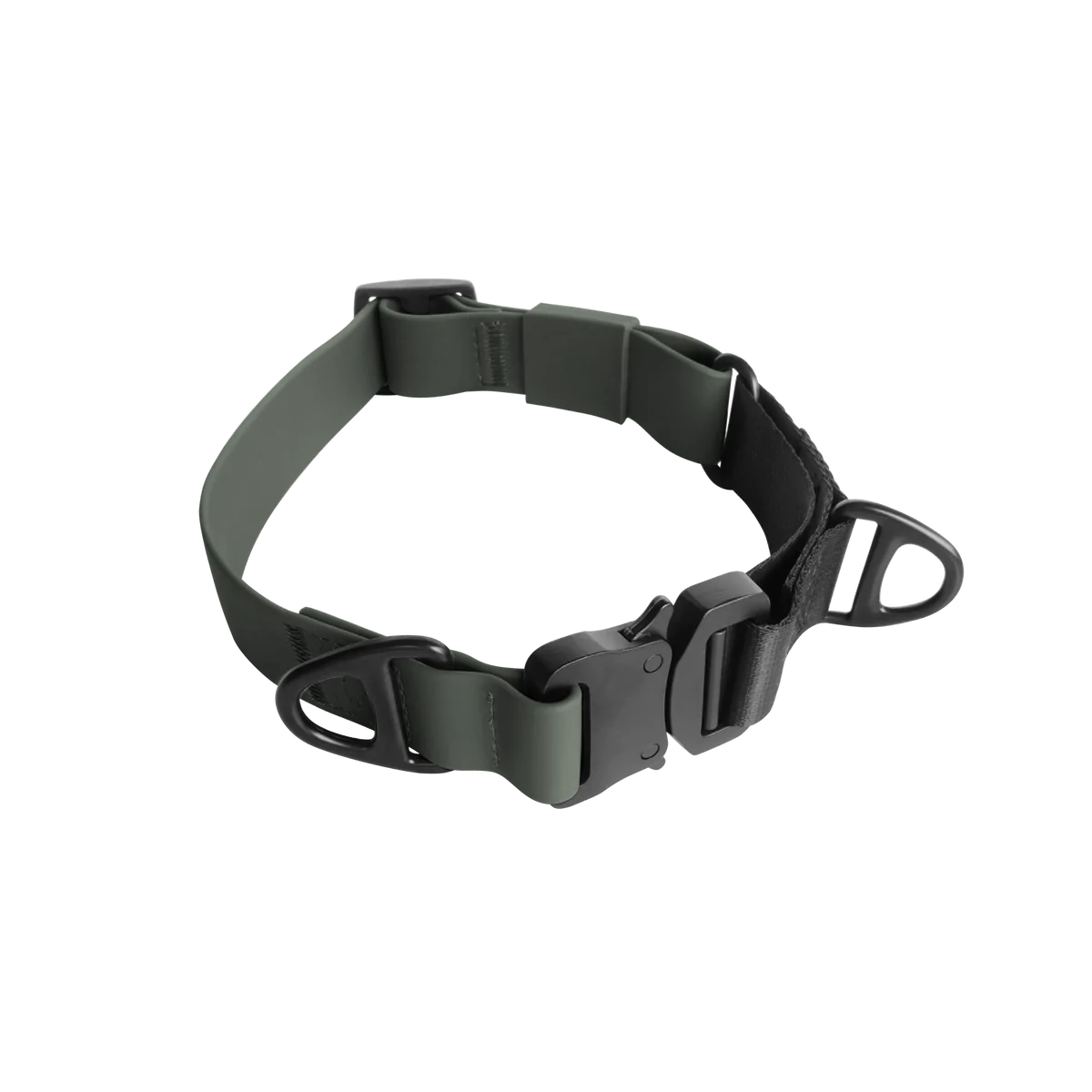 AVA MARTINGALE Quick-release metal buckle collar