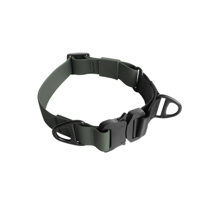 AVA MARTINGALE Quick-release metal buckle collar