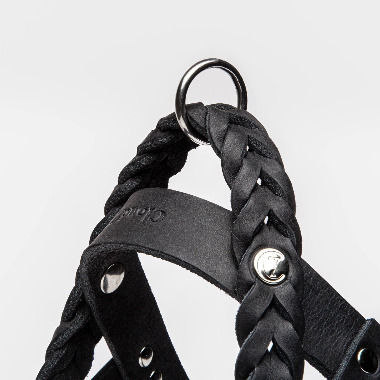 Harness Central Park