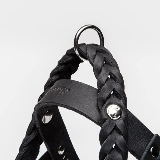 Harness Central Park