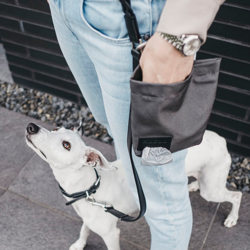 Lupo Snack Bag
