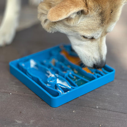 SP Waiting Dogs Enrichment Food Tray