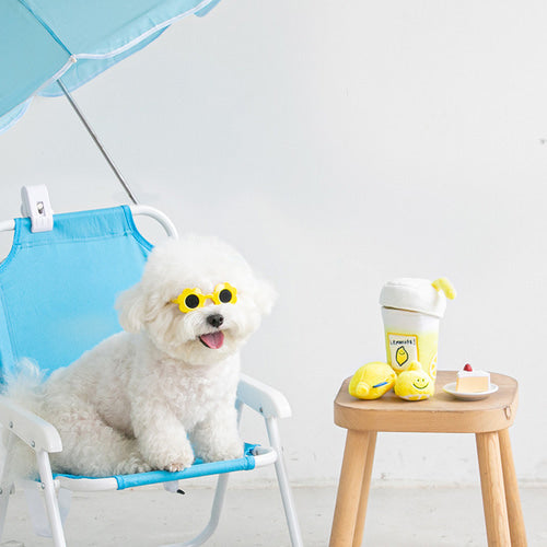Secondmorning Lemonade Snuffle Toy