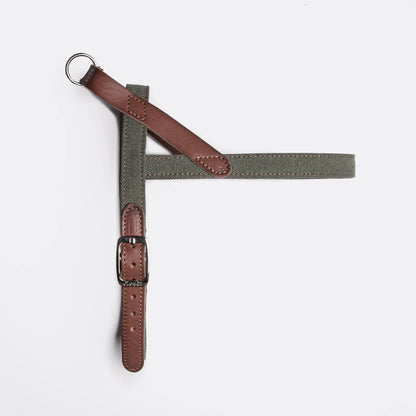 Harness Tivoli