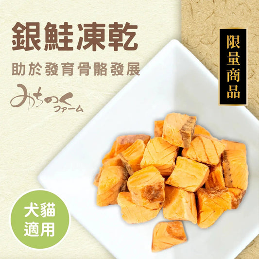 Freeze Dried Coho Salmon 40g