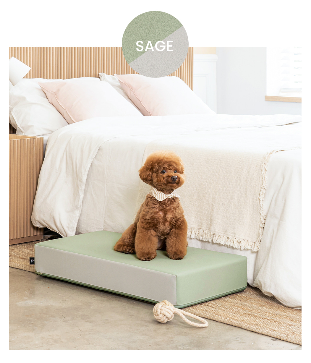 【PRE-ORDER】Non-Slip Pet Step 1-Tier