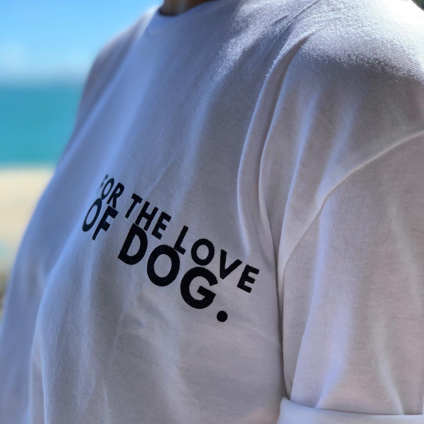 Crop Slogan Tee