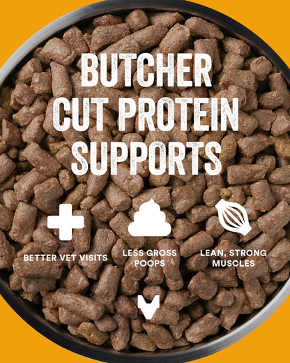 Vital Essentials - Freeze Dried Raw Dog Food - Turkey Mini Nibs