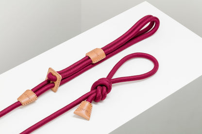 Dog Harness Ray