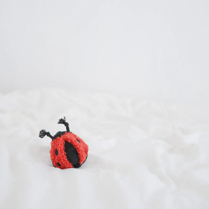 Lady Bug POP