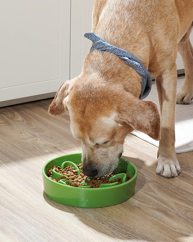 Ceramic Slow Feeder - Green Clover