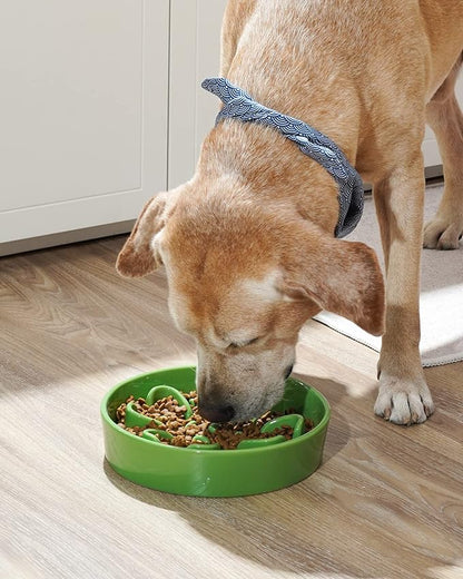 Ceramic Slow Feeder - Green Clover