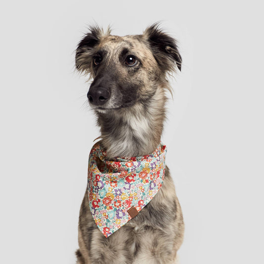 Dog Bandana Flower Meadow
