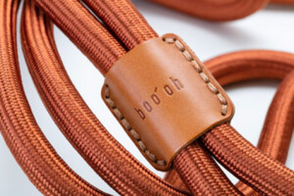 Dog Harness Ray