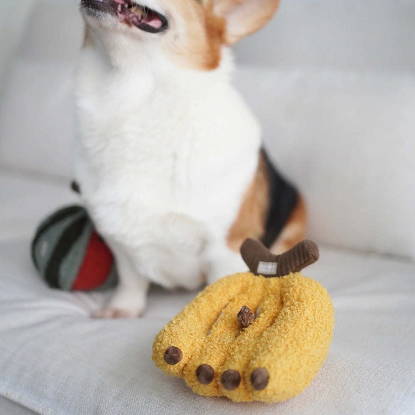 Banana - Squeaky + Snuffle Toy