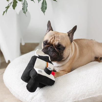 INSTANT CAMERA - snuffle + squeaky