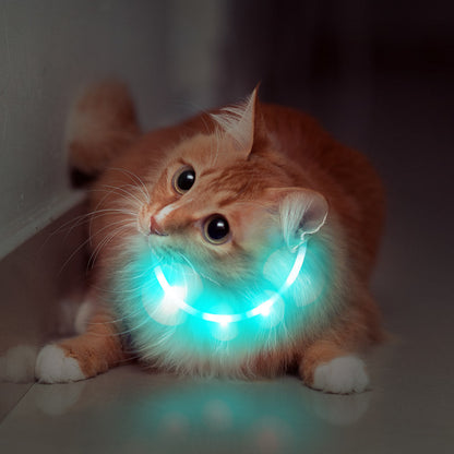 Luna F33 LED Collar Light