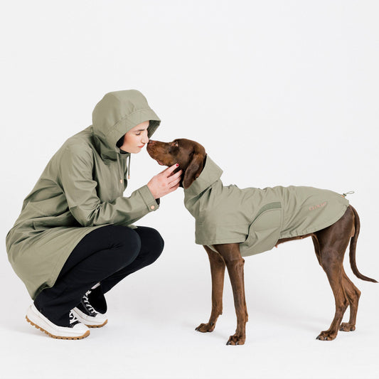 Dog Raincoat Lewis