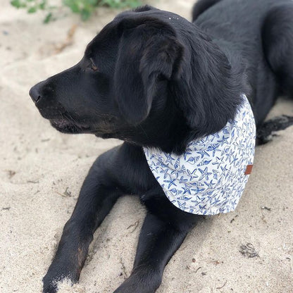 Dog Bandana Sea Stars