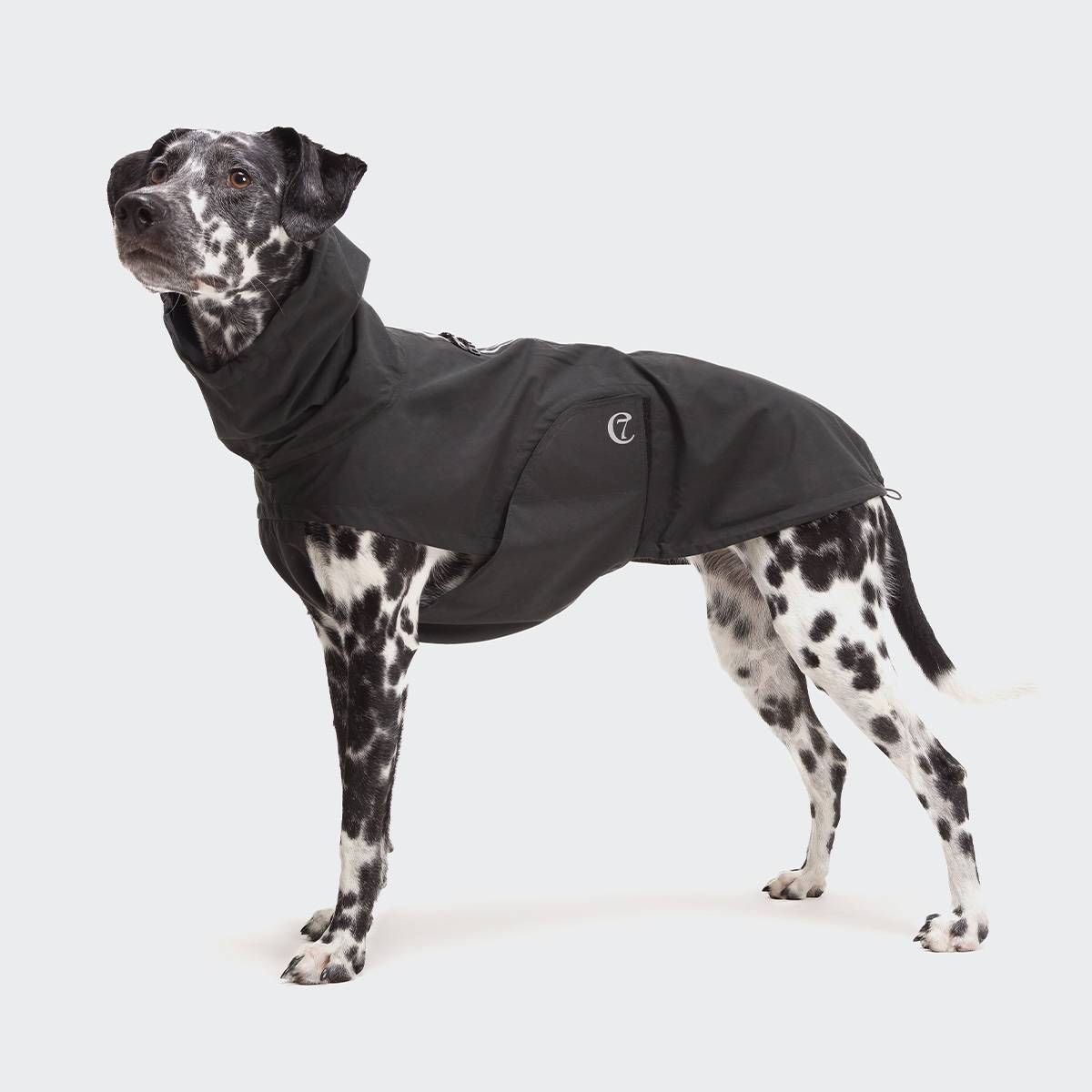 Dog Raincoat Dublin