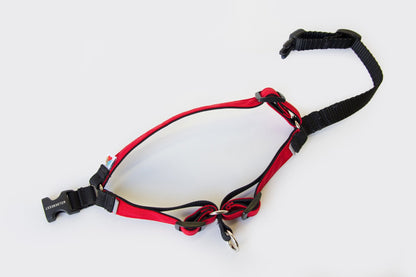 Linden No Pull Harness