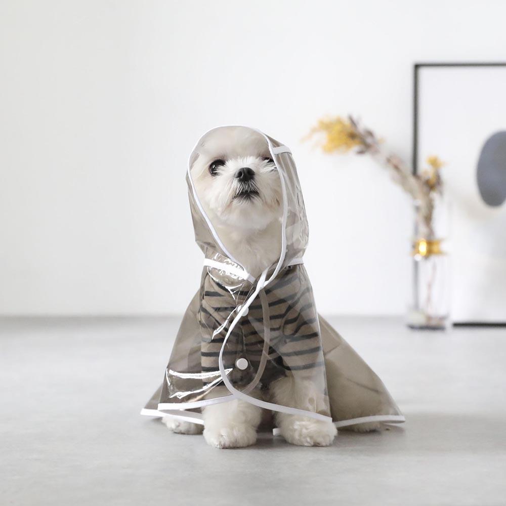 Raincoat