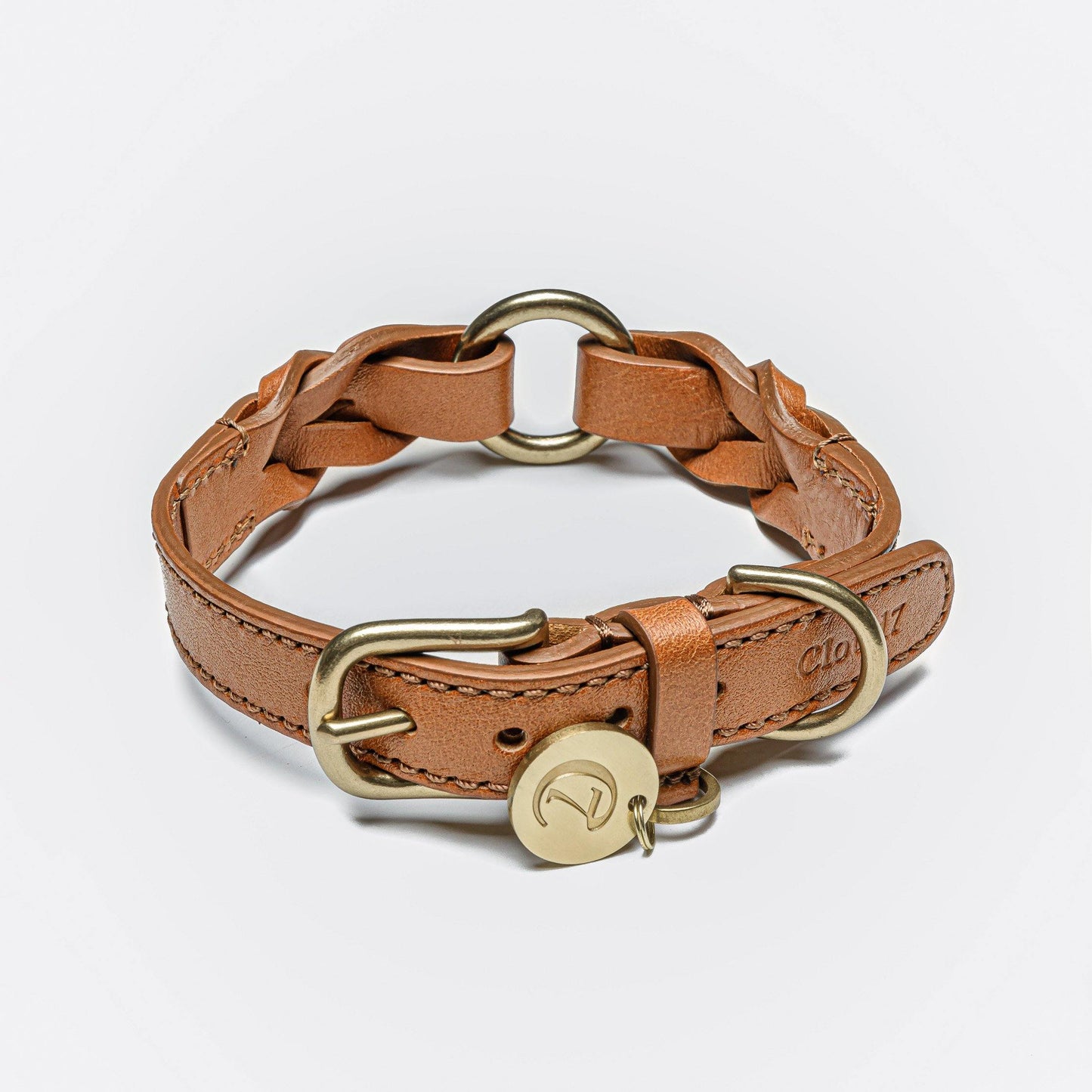 Dog Collar Hyde Park