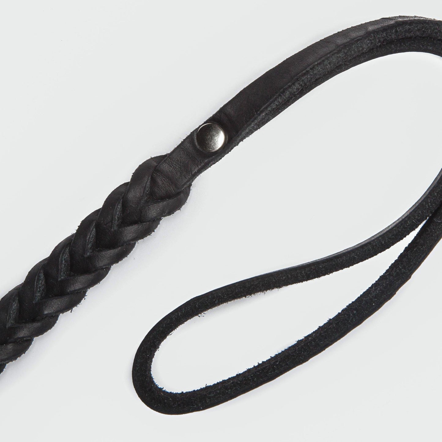 Dog Leash Central Park