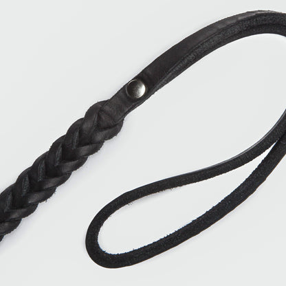 Dog Leash Central Park
