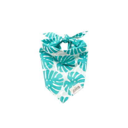 Bandanas - Tropics